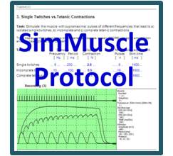 simmuscleprotocal